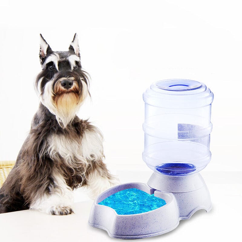 Gravity Dog Feeder – 6 lb Automatic Dry Food Dispenser for Small & Medium Dogs
