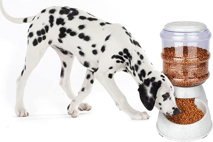 Gravity Dog Feeder – 6 lb Automatic Dry Food Dispenser for Small & Medium Dogs
