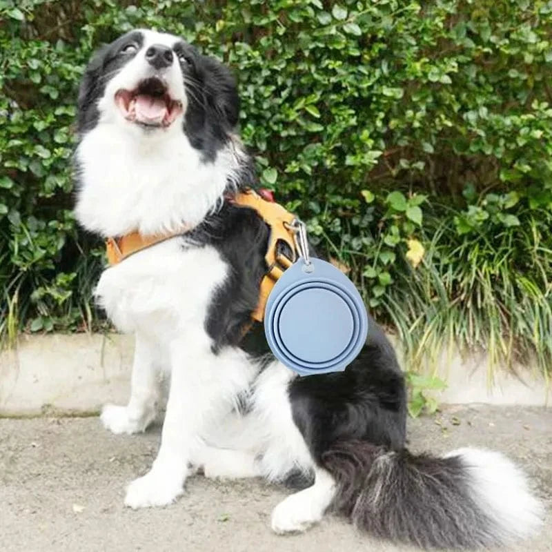 Collapsible Silicone Travel Dog Bowls (2-Pack) – Portable Pet Water & Food Bowls with Carabiners – BPA-Free, Dishwasher Safe, 600ml