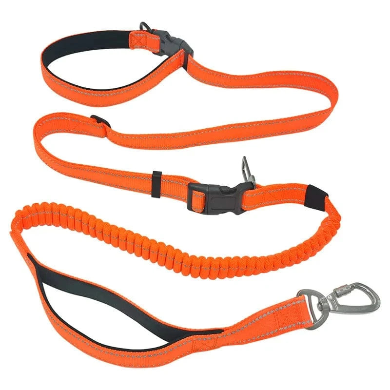 Hands-Free Dog Leash – Adjustable, Shock Absorbing & Reflective for Running & Walking