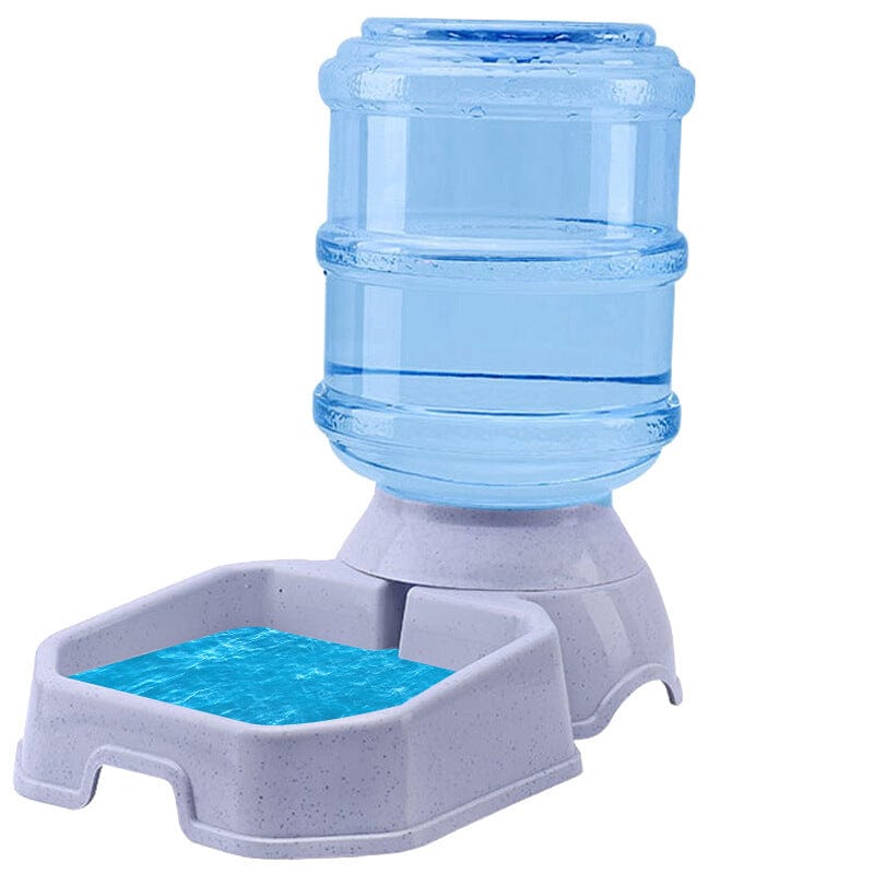 Gravity Dog Feeder – 6 lb Automatic Dry Food Dispenser for Small & Medium Dogs