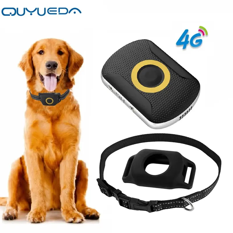 4G GPS Dog Tracking Collar - Real-Time Location, Geo-Fence Alerts, Waterproof IP67, Two-Way Call & Health Monitor