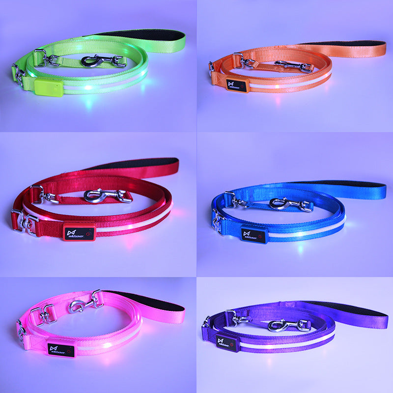 Ezier USB Rechargeable LED Dog Collar – Safe, Comfortable & Visible Nighttime Collar for Dogs