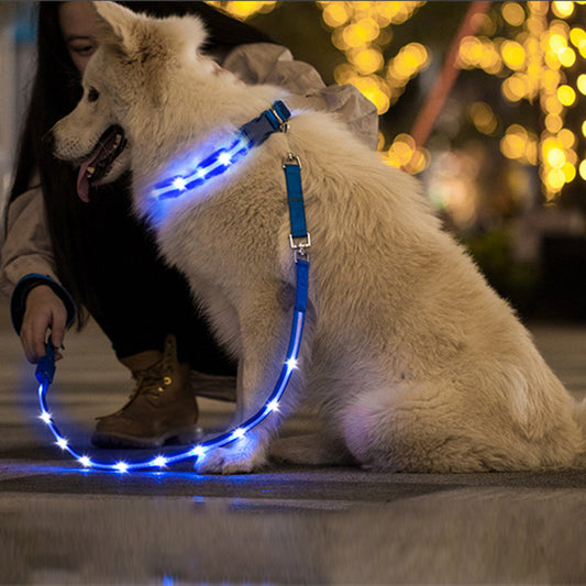 Ezier USB Rechargeable LED Dog Collar – Safe, Comfortable & Visible Nighttime Collar for Dogs