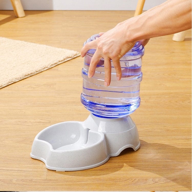 Gravity Dog Feeder – 6 lb Automatic Dry Food Dispenser for Small & Medium Dogs