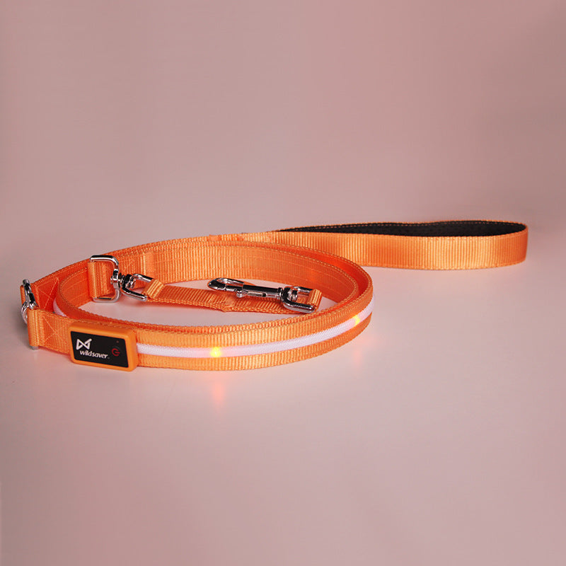 Ezier USB Rechargeable LED Dog Collar – Safe, Comfortable & Visible Nighttime Collar for Dogs