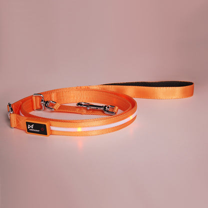 Ezier USB Rechargeable LED Dog Collar – Safe, Comfortable & Visible Nighttime Collar for Dogs