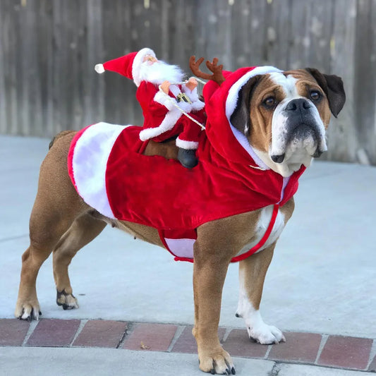 Christmas Pet Apparel - Santa Claus Ski Outfit, Warm and Frost-Proof Christmas Clothing for Pets
