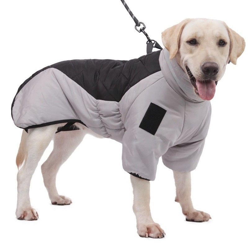 Dog Winter Coat – Waterproof, Windproof, Reflective & Warm Jacket for Medium to Large Dogs with Fleece Lining, High Collar & D-Ring Leash Clip – Grey/Orange