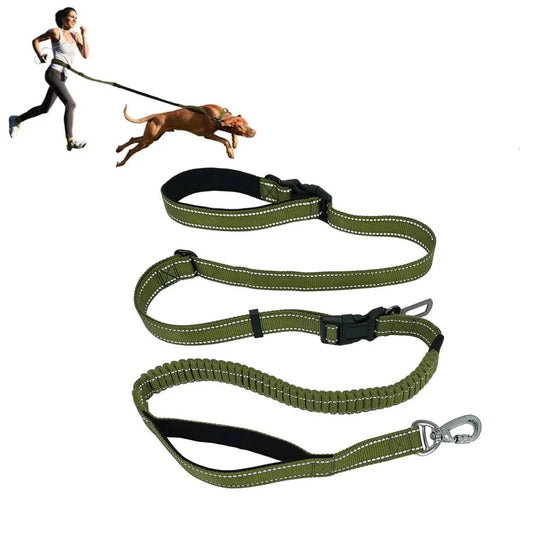 Hands-Free Dog Leash – Adjustable, Shock Absorbing & Reflective for Running & Walking