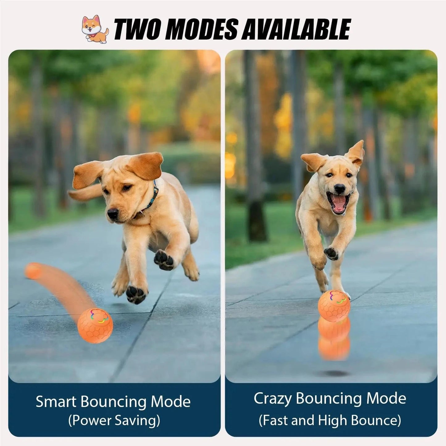 Teeche™ Motion-Activated Dog Ball – Interactive, Rechargeable & Bouncing Fun!