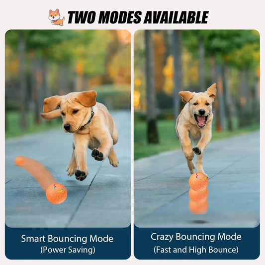 Teeche™ Motion-Activated Dog Ball – Interactive, Rechargeable & Bouncing Fun!