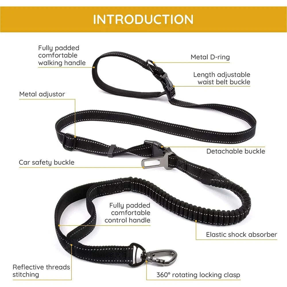 Hands-Free Dog Leash – Adjustable, Shock Absorbing & Reflective for Running & Walking