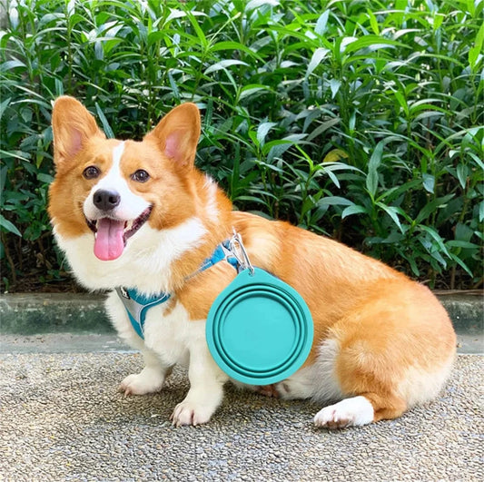 Collapsible Silicone Travel Dog Bowls (2-Pack) – Portable Pet Water & Food Bowls with Carabiners – BPA-Free, Dishwasher Safe, 600ml