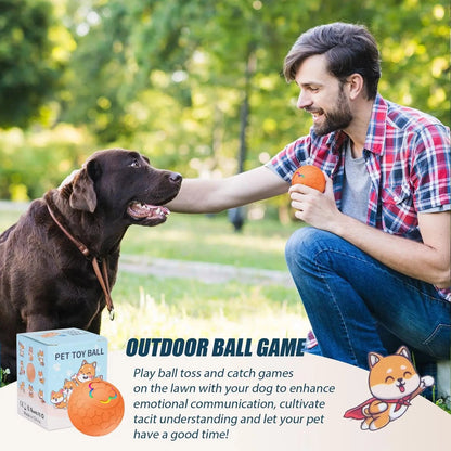 Teeche™ Motion-Activated Dog Ball – Interactive, Rechargeable & Bouncing Fun!
