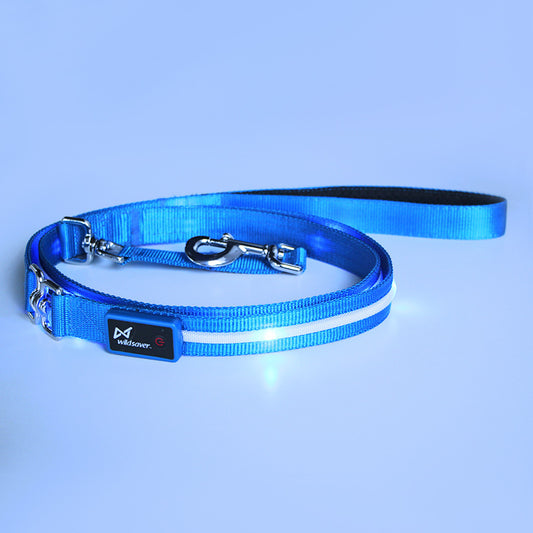 Ezier USB Rechargeable LED Dog Collar – Safe, Comfortable & Visible Nighttime Collar for Dogs