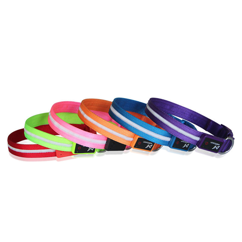 Ezier USB Rechargeable LED Dog Collar – Safe, Comfortable & Visible Nighttime Collar for Dogs